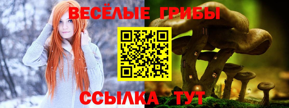 Псилоцибиновые грибы Psilocybe Волоколамск